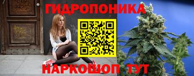 твердый Тара