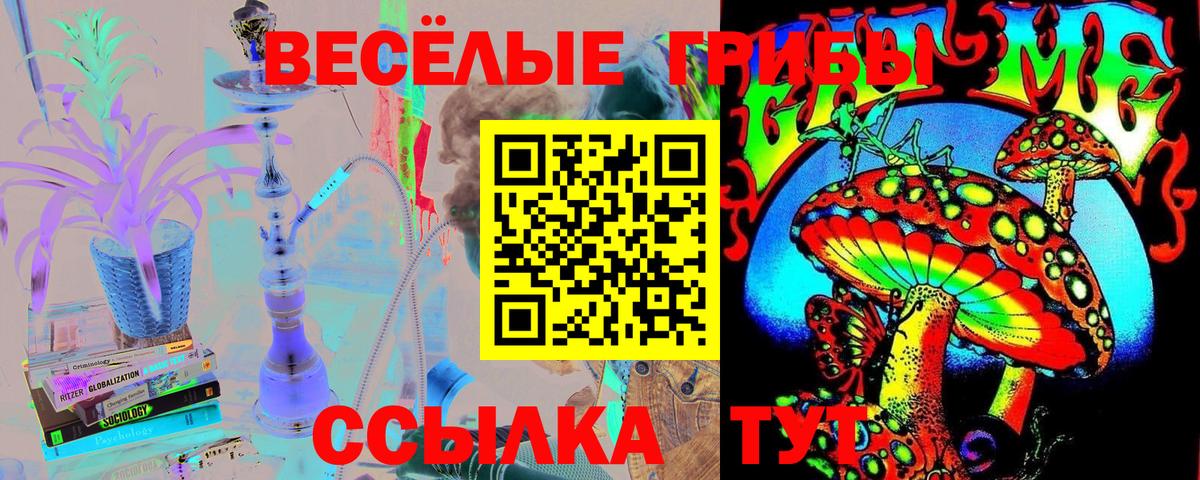 Галлюциногенные грибы MAGIC MUSHROOMS Хабаровск