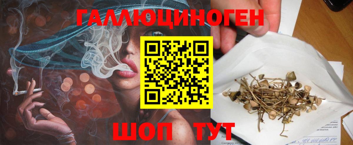 Галлюциногенные грибы прущие грибы  Вход с VPN  Хабаровск 